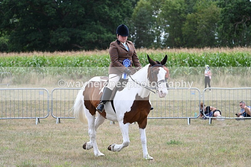 WJ7_5677 - Class 12 Ridden Cob