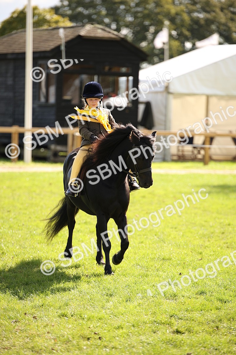 SBM_40900 - Fun Showing Supreme Championship