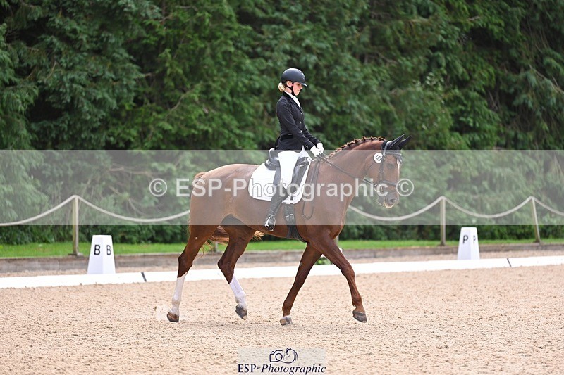 240809-121614-00717 - 185-Daisy.Hedges-Felicia.v