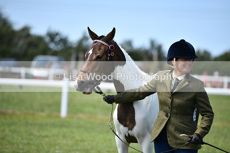 DSC_7490 - Class 63: Coloured Horse Youngstock