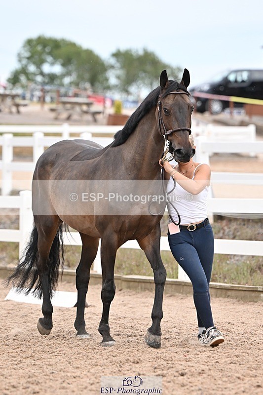 250716-161029-02488 - Trot Up 3.30 to 4.30