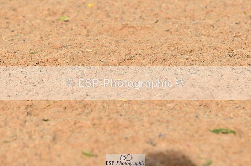 231104A-115936-01650 - Cls 5 Novice 37A