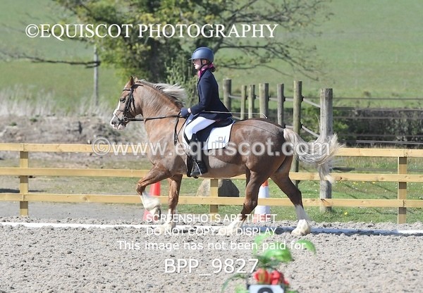 BPP_9827 - MY QUEST PRELIM 2