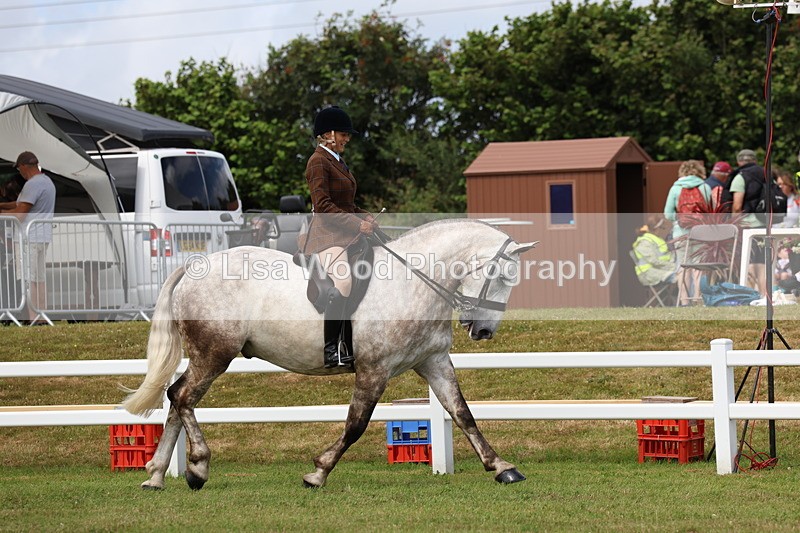 3E7A0262 - Class 6: Rising Star Maxi Cobs