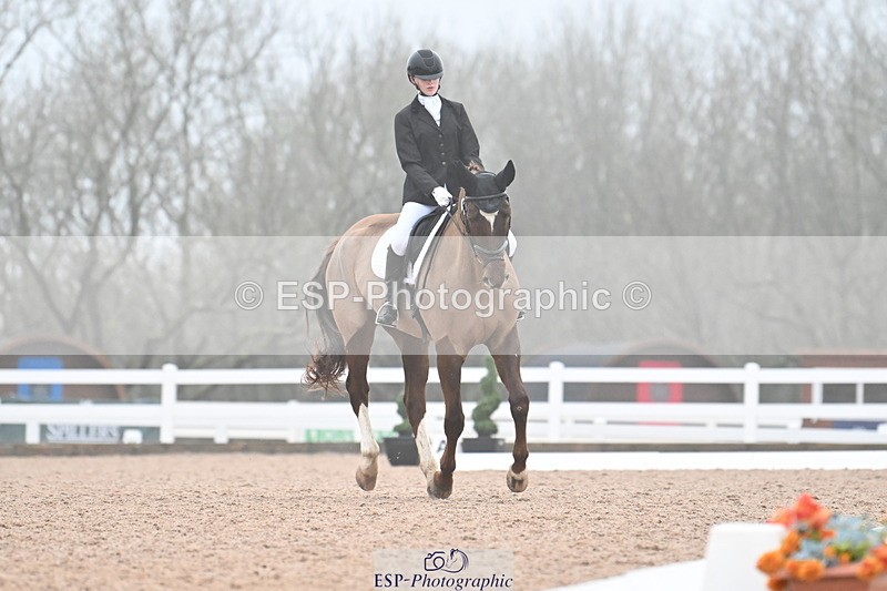 240217A-095256-00476 - 123-Daisy.Hedges-Felicia.v