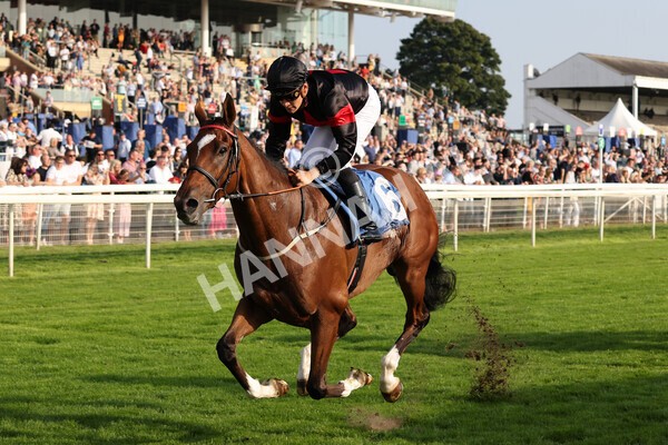 yr05092021r7-25 - Race 7 5.10pm Yorkshire Regiment Stakes