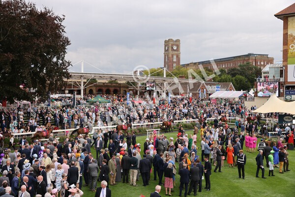 yr18082022r2-6 - Race 2 2.25pm Goffs UK Harry Beeby Premier Yearling Stakes