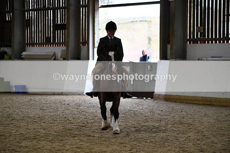 WJ5_7231 - Class 11 Ridden PC - RC Pony