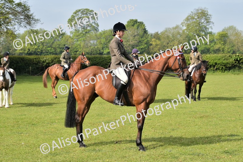 20260426-0918 - Class 18 - Novice Showing