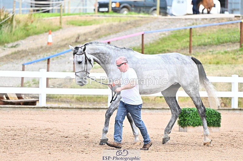 240718A-105323-01931 - Trot Up 2pm to 3pm - This folder is not in time order