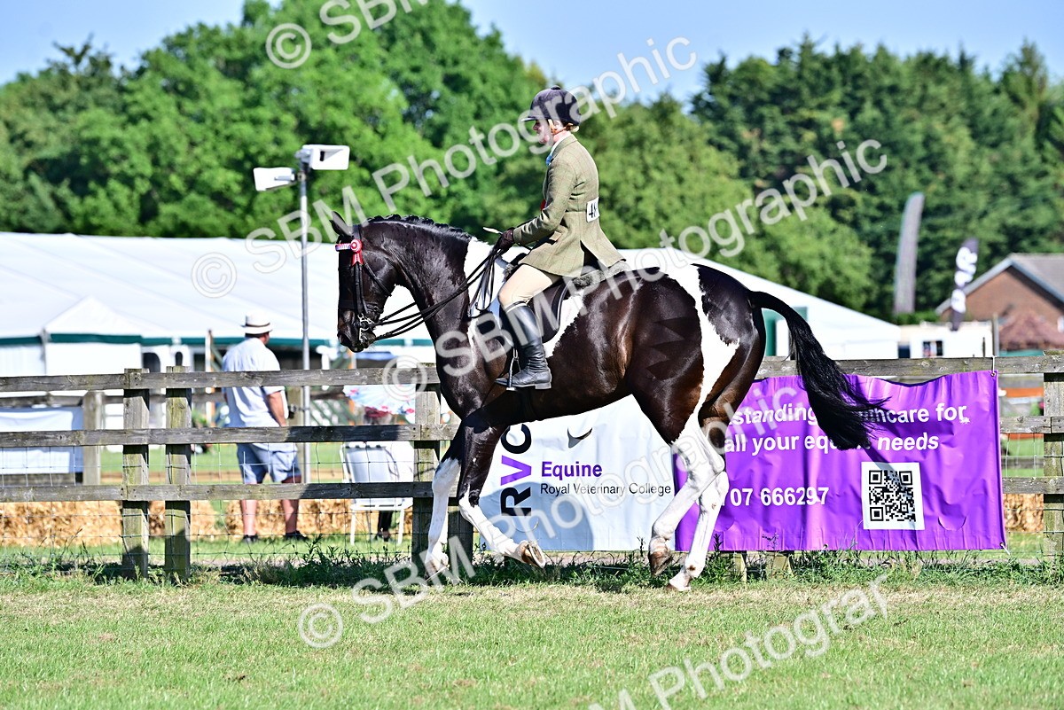 SBM_19568 - Class 101-102 - BSPS LIHS Performance Coloured Horse/Pony