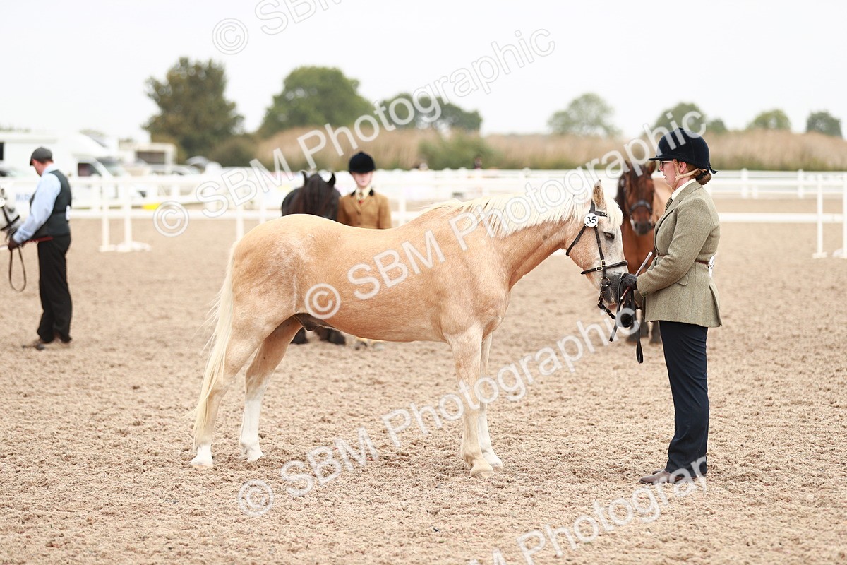 SBM_12480 - Class 207 IH M&M