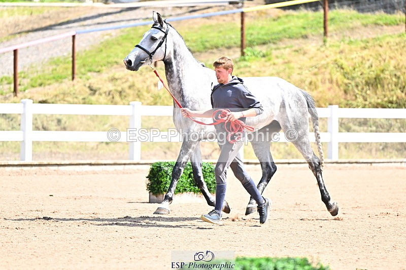 240718A-105238-00954 - Trot Up 11am to 12pm