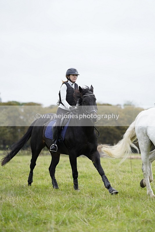 _DSC7146 - Time at Photographer 10:43 to 11:19