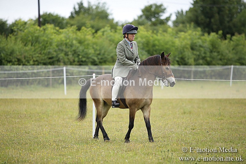 BVR160717-47 - Ring 1 BVRC Show 16/07/17