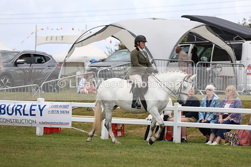 3E7A1335 - Class 9: Open Hunter