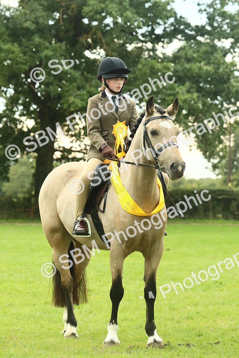 SBM_75052 - Ridden Pony Supreme Championship