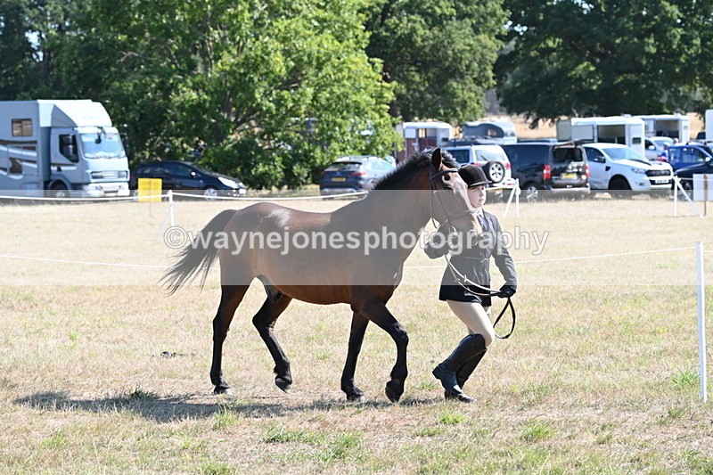 WJ6_7535 - Class 34 Judges Choice