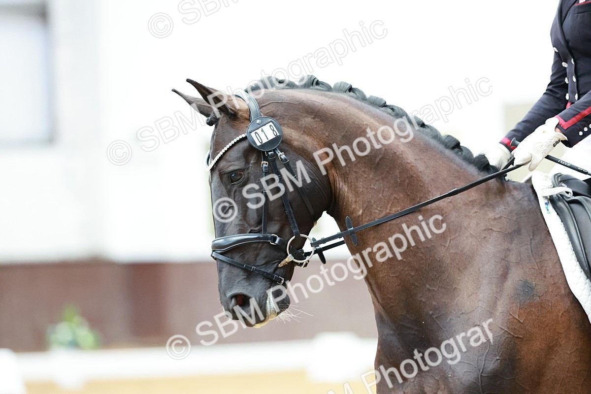 SBM_003185 - Class 1 - Prelim 6 - 9.30-10.26