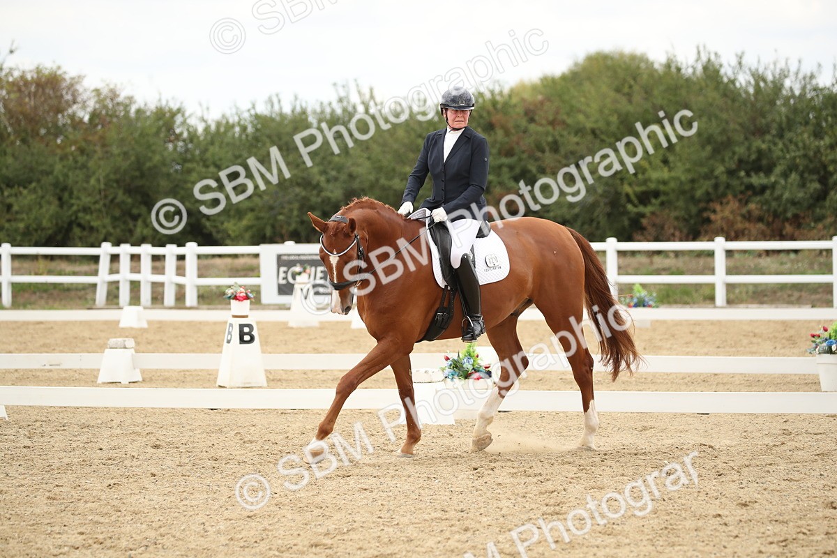 SBM_002079 - Class 6 - Elementary 5 - 13.30-14.34