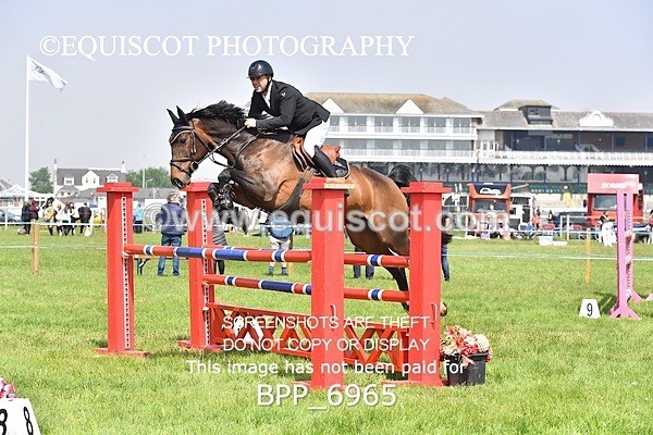 BPP_6965 - CLASS 3 RHS Fox Champ Qual (1.20m)
