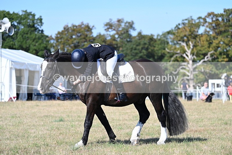 WJ7_9172 - Time 09:27 to 10:03