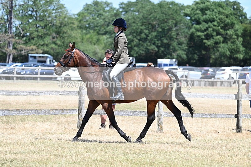 WJ7_2810 - Class 7 Riding Club Show Horse