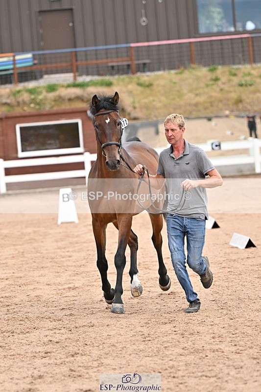 250716-151418-01806 - Trot Up 2.30 to 3.30