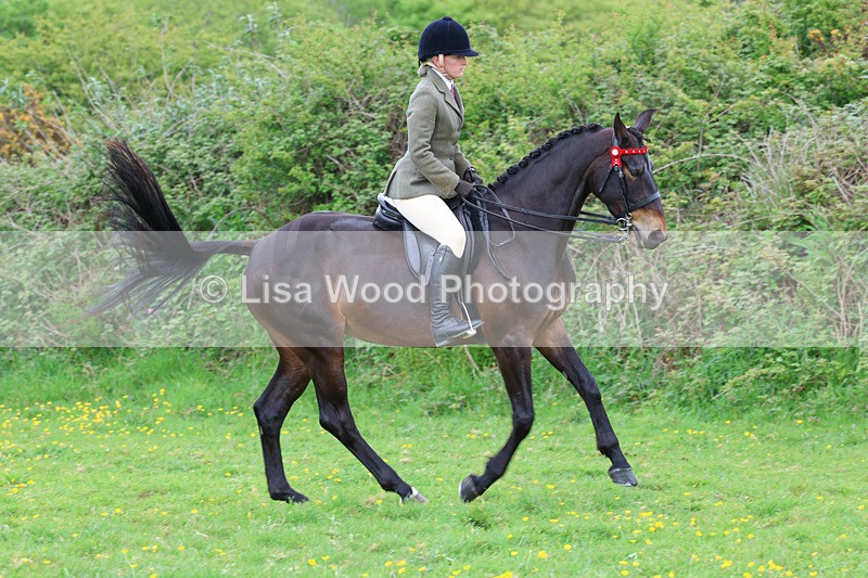 3E7A1939 - Class 10: Ridden Sports Horse