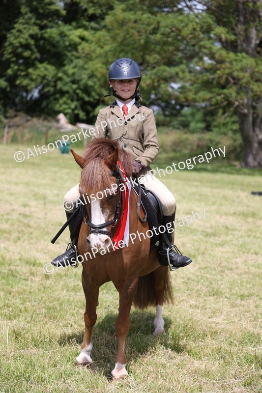 20260614-2141 - Class 21 - Novice Working Hunter Pony
