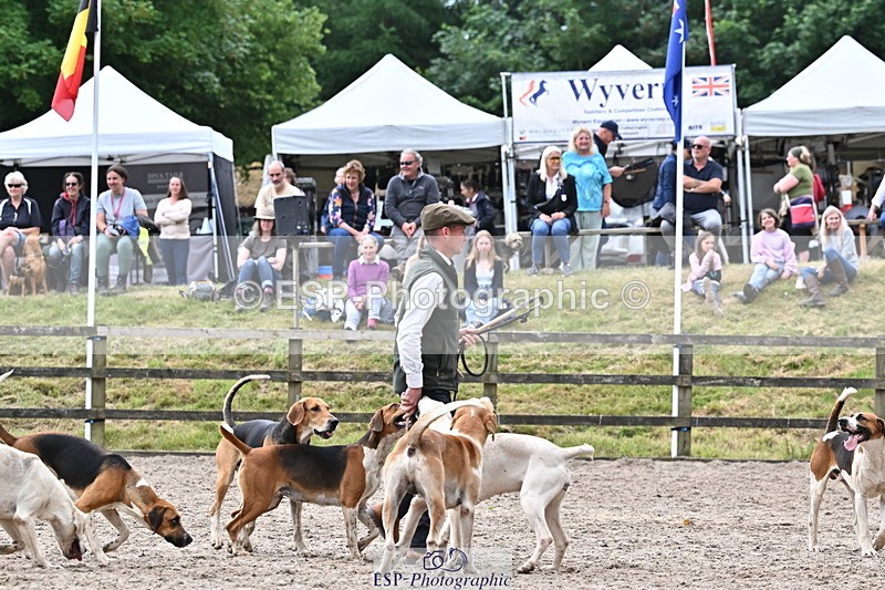 250524A-152856-12798 - East Devon Hounds