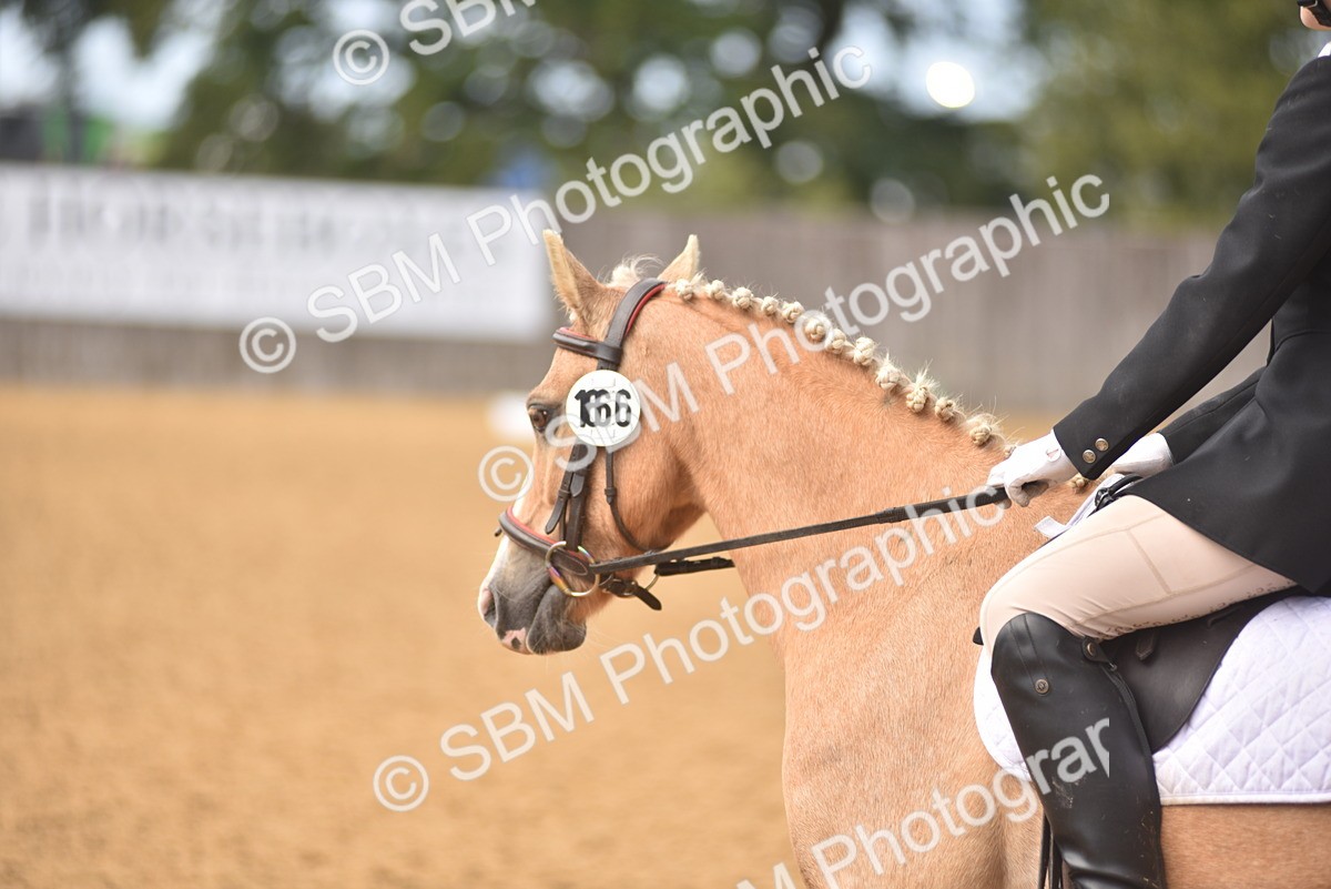 SBM_48664 - D22 - Junior Championship Intro 3