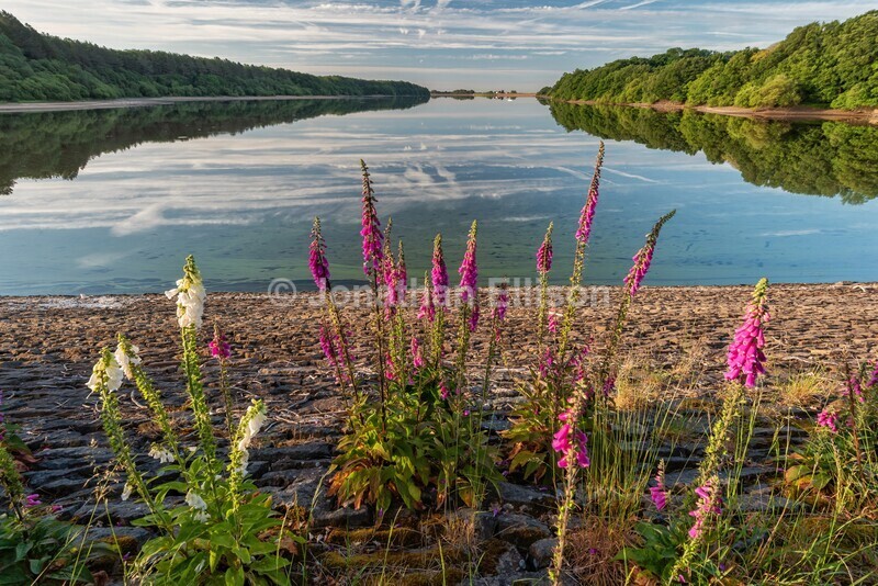 Lower Rivington Reservoir - Rivington And Surrounding Areas