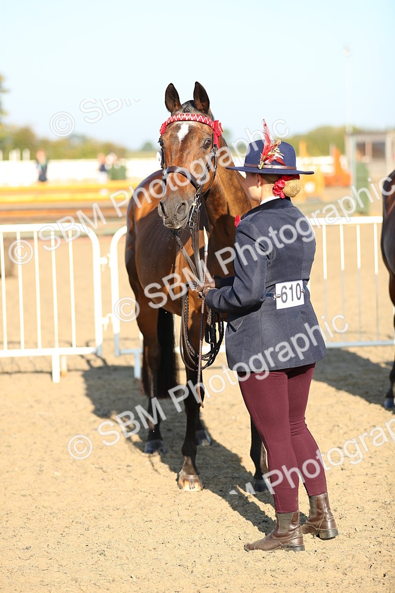 SBM_00006 - Class 40 Best Turned Out IH