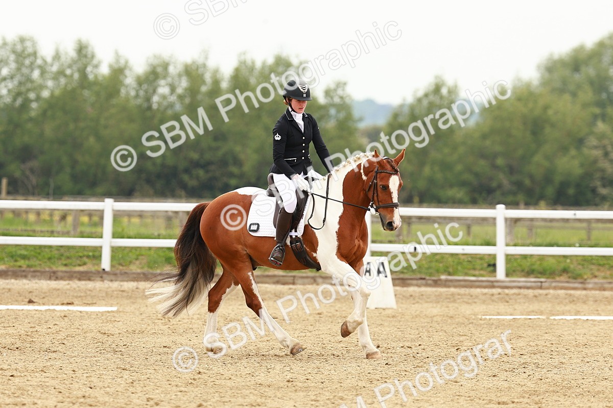 SBM_001217 - Class 6 - Novice 4