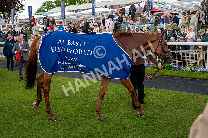 140526-Race 4-See The Fire-1375 - Race 4 3.30pm Al Basti Equiworld Dubai Middleton Fillies' Stakes