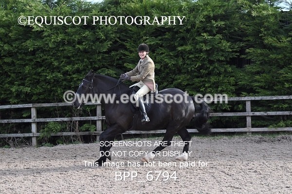 BPP_6794 - RING 1  (RIDDEN HORSES / IN HAND / VETERAN ETC)