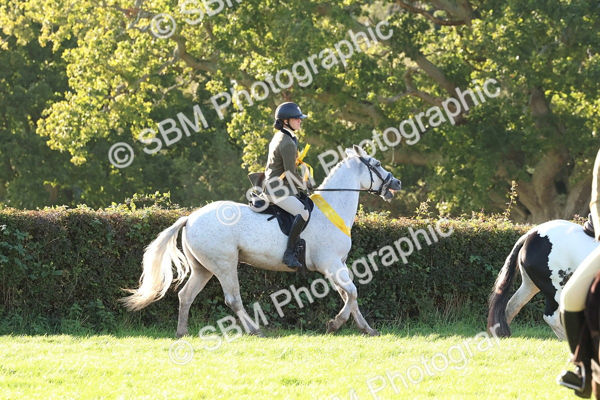 SBM_52685 - S13 - Pony Club Pony