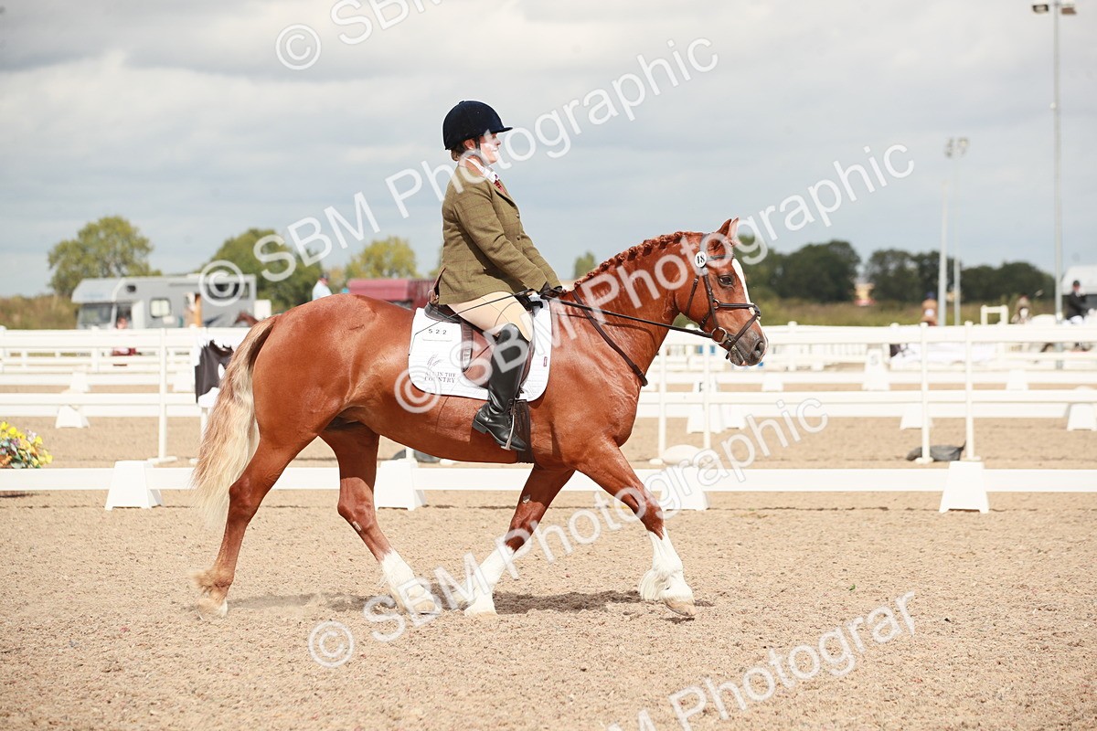 SBM_05852 - Class 32 - Novice 1