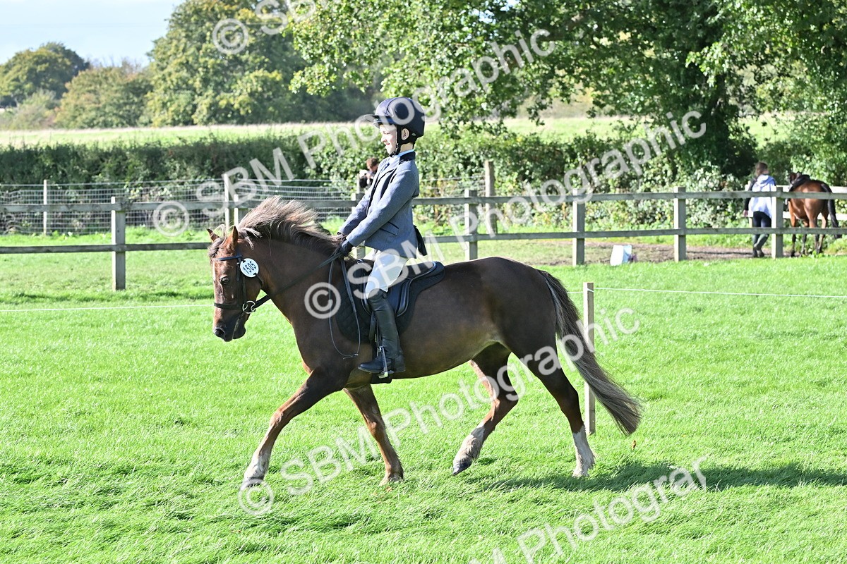 SBM_50250 - S21 - Novice & Newcomers First Ridden