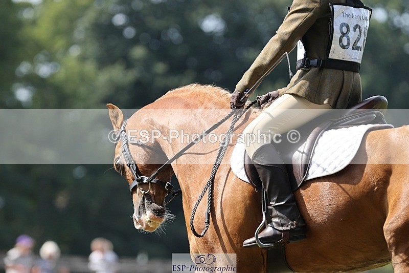 250823A-135458-31392 - Arena D