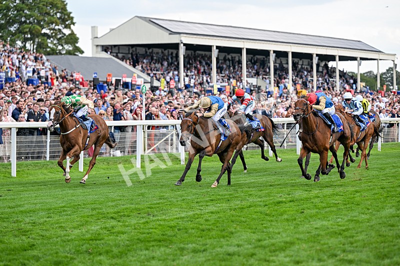 220826-Race 4-Daiquiri Bay-0432 - Race 4 15.35pm Sky Bet Ebor Handicap