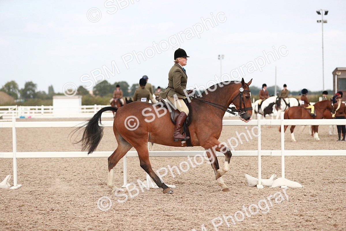 SBM_16688 - Class 214 Ridden Cob