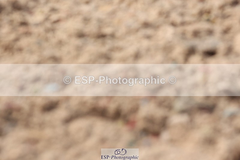 240706A-165806-04528 - Cls 9 RT Novice 27