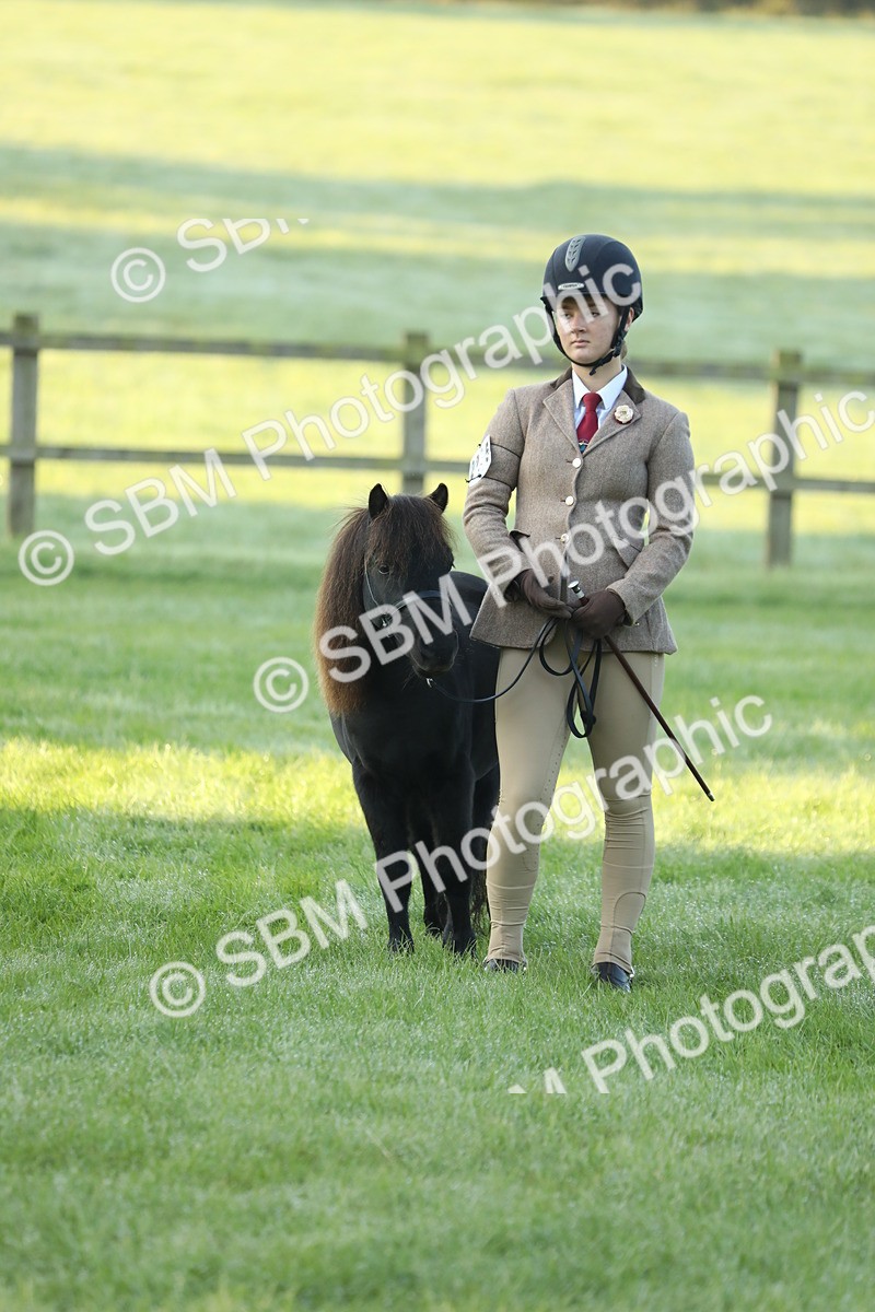 SBM_57841 - S42 - Youngstock