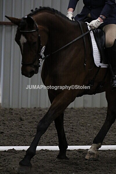 SIAL4403 - CAbin Dressage 5th july 2025