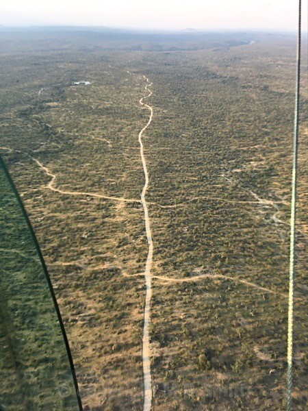 Aerial View Of The Kruger Park - LANDSCAPES & TREES