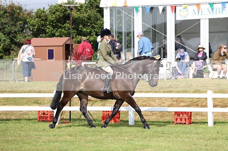 3E7A8872 - Class 3: Rising Star S/L Hunter