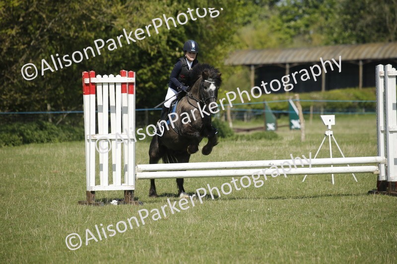 20250427-2012 - Class 13 - Novice Jumping 60cm