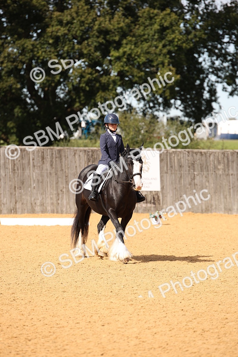 SBM_21719 - D5 - Small Tour Championship - Intro C